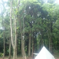 ワークショップ新潟20190915