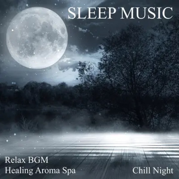 「SLEEP MUSIC Relax BGM Healing Aroma Spa Chill Night」リリースされました。
